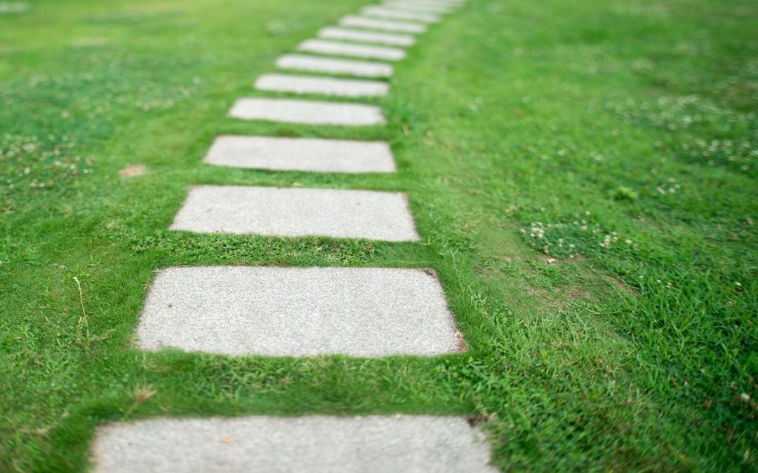 Interventi di risocializzazione